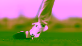 PXG Golf PXG Research and Development Founders Vision 30 Ad Commercial Brand Imagery Photoshoot 0