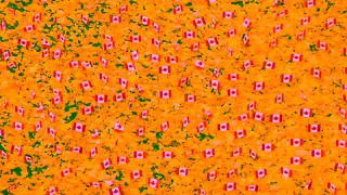 Sunnybrook Hospital Operation Raise a Flag Ad Commercial Brand Imagery Photoshoot 2