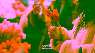 Contiki CH AnytimeAnywhere BrandVideo6sec Awareness EventsAndFestivalsCreative2 WithCTA 1920x1080 Ad Commercial Brand Imagery Photoshoot 2