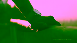 Huawei HUAWEI WATCH GT 5 Series New Level of Performance and Aesthetics Ad Commercial Brand Imagery Photoshoot 2