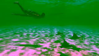 Tahiti Tourism Feel What We Feel Here in The Islands of Tahiti 15 Ad Commercial Brand Imagery Photoshoot 1