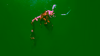 The Cosmopolitan of Las Vegas Fantasies Welcome Ad Commercial Brand Imagery Photoshoot 0