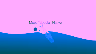 Taboola Try Taboola Take your campaigns to the next level Ad Commercial Brand Imagery Photoshoot 0