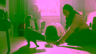 Purina Purina Cares Improving Cats Lives Through Adoption Nutrition Purina Ad Commercial Brand Imagery Photoshoot 1