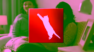 Purina Purina Cares Improving Cats Lives Through Adoption Nutrition Purina Ad Commercial Brand Imagery Photoshoot 2