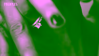 Peoples Jewellers Vera Wang Love When You Know You Know Ad Commercial Brand Imagery Photoshoot 1