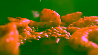 QDOBA QDRA0408000H FY25 QDOBA CLS YouTube15 Ad Commercial Brand Imagery Photoshoot 0