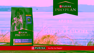 Purina Fuel Your Dogs Active Lifestyle with Food Made for Strength Stamina Ad Commercial Brand Imagery Photoshoot 2