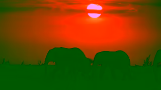 Exodus Travels EXODUS DOES Wildlife Encounters Ad Commercial Brand Imagery Photoshoot 2