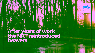 Coca-Cola PAC Water BEAVERS 16X9 GB 20S Ad Commercial Brand Imagery Photoshoot 1