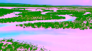 The Bahamas Its Not One Island Its a Lifetime of Them The Berry Islands The Exumas Andros Ad Commercial Brand Imagery Photoshoot 1