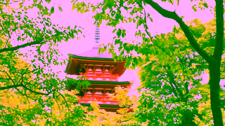 TripADeal TripADeal Tour Japan with our local guide Soya Ad Commercial Brand Imagery Photoshoot 2