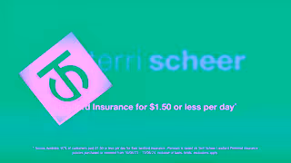 Terri Scheer TS2435 Terri Scheer Landlord Compile 150 30sec Ad Commercial Brand Imagery Photoshoot 2