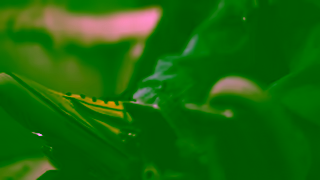 Logitech Sim Racing Family Race Days Europe GIVE THE GIFT OF RACING Ad Commercial Brand Imagery Photoshoot 1