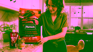 Merrick Pet Care Merrick Food Is Our Love Language Ad Commercial Brand Imagery Photoshoot 0
