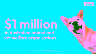 Buddy Pet Insurance H9910 Buddy 6sec Asset01 Youtube Ad Commercial Brand Imagery Photoshoot 1