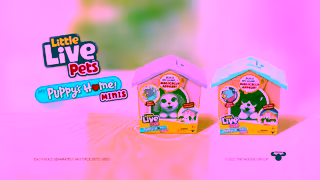 Little Live Pets LITTLE LIVE PETS I PUPPYS HOME MINIS TVC I 15 Ad Commercial Brand Imagery Photoshoot 2