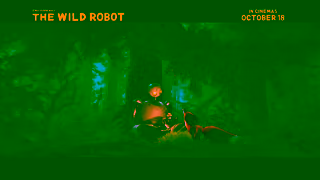 Universal Pictures THE WILD ROBOT Lost and Found Universal Pictures HD Ad Commercial Brand Imagery Photoshoot 1