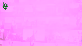 The Donkey Sanctuary Q1 RG 30s Ad Commercial Brand Imagery Photoshoot 2