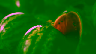 Simply Beverages Say Yes to Simply Watermelon Ad Commercial Brand Imagery Photoshoot 1