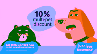 SPCA Sting Like A Bee 60s Ad Commercial Brand Imagery Photoshoot 1