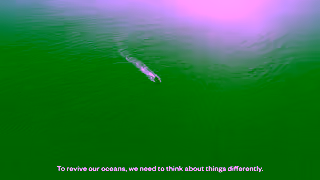 Patagonia Protect the ocean so it can protect us Ad Commercial Brand Imagery Photoshoot 0