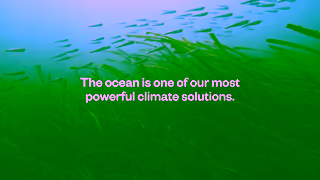 Patagonia Protect the ocean so it can protect us Ad Commercial Brand Imagery Photoshoot 1