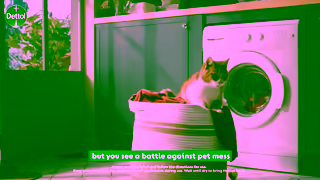 Dettol Dettol Homes with Pets Helps remove pet mess odour Ad Commercial Brand Imagery Photoshoot 0