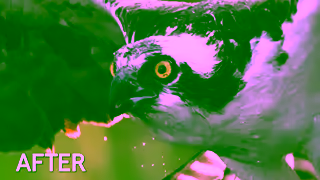 Topaz Labs Ray Yeager Video 03 1200x628 Ad Commercial Brand Imagery Photoshoot 1