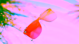 Blenders Eyewear Miami Mood Blenders ORBR Collection Ad Commercial Brand Imagery Photoshoot 1