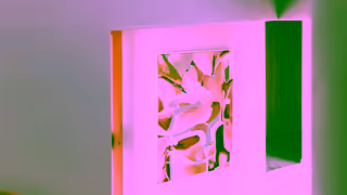 Emma Street Studio Emma Street Studio Brisbane Art Gallery Ad Commercial Brand Imagery Photoshoot 2