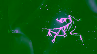 Arcteryx Arcteryx The New Beta with GoreTex ePE Ad Commercial Brand Imagery Photoshoot 1