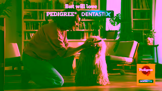 Pedigree Pedigree Dentastix Ad Commercial Brand Imagery Photoshoot 1