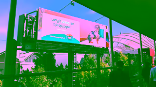 Lyka Pet Food Discover the health benefits of fresh dog food Ad Commercial Brand Imagery Photoshoot 0