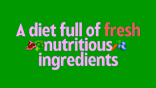 Lyka Pet Food Discover the health benefits of fresh dog food Ad Commercial Brand Imagery Photoshoot 2