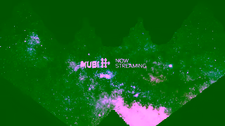 MUBI Whitney Biennial 2024 Even Better Than the Real Thing collection on MUBI Ad Commercial Brand Imagery Photoshoot 2