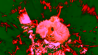 KHAZAN The First Berserker Khazan Masters of War Ad Commercial Brand Imagery Photoshoot 2