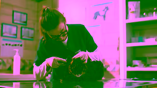 BUCHHEIT Pet Donation April 2025 Ad Commercial Brand Imagery Photoshoot 0