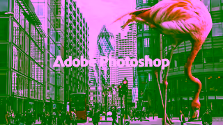 Adobe Everyone Can Go Big Adobe Photoshop Ad Commercial Brand Imagery Photoshoot 0