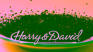 Harry & David Sweeten Moms Special Day Ad Commercial Brand Imagery Photoshoot 0