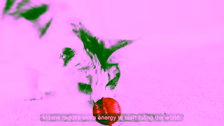 Royal Canin Recommended nutrition for a growing kitten Ad Commercial Brand Imagery Photoshoot 1