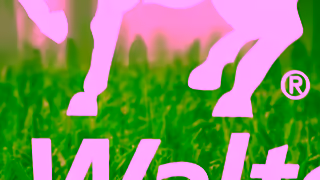 Lawn Solutions The Original Sir Walter Guaranteed Sir Walter DNA Certified Buffalo Grass Ad Commercial Brand Imagery Photoshoot 0