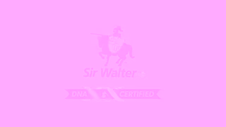 Lawn Solutions The Original Sir Walter Guaranteed Sir Walter DNA Certified Buffalo Grass Ad Commercial Brand Imagery Photoshoot 2