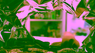 Table of Plenty Table of Plenty Good Comes Round 2024 Ad Commercial Brand Imagery Photoshoot 1