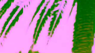 Tommy Hilfiger SOFIA FOR TOMMY Ad Commercial Brand Imagery Photoshoot 1