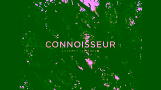 Connoisseur Thrill Your Senses with Connoisseur Gourmet Ice Cream Ad Commercial Brand Imagery Photoshoot 2