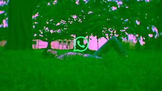 WhatsApp Message Privately Ad Commercial Brand Imagery Photoshoot 0