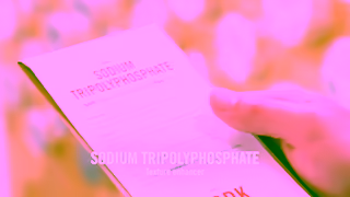 CHIPOTLE Chipotle Bee for Real Spelling Bee Ad Commercial Brand Imagery Photoshoot 1