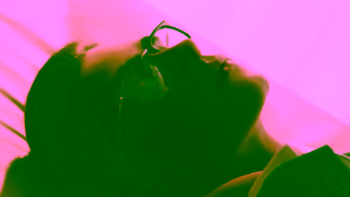 Yves Saint Laurent SAINT LAURENT FALL 24 FREDERIC Ad Commercial Brand Imagery Photoshoot 1