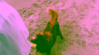 Petro-Canada Go Long with PetroCanada Long Shake Ad Commercial Brand Imagery Photoshoot 0